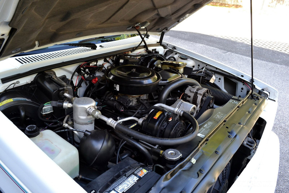 1992 CHEVROLET S10 CUSTOM PICKUP - Engine - 231949