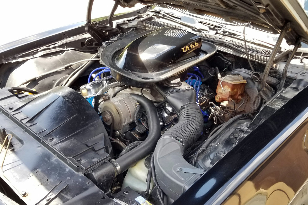 1976 PONTIAC FIREBIRD TRANS AM - Engine - 232068