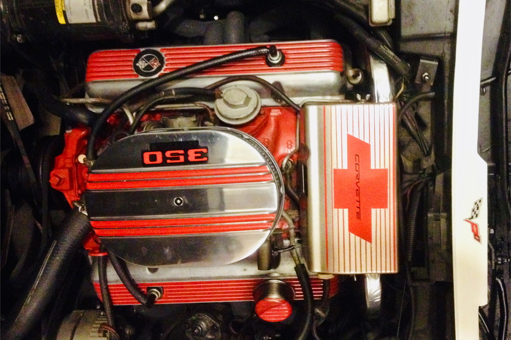 1976 CHEVROLET CORVETTE CUSTOM COUPE - Engine - 232209