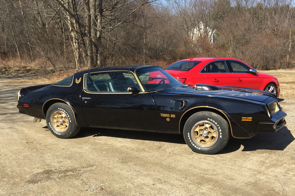 1976 PONTIAC FIREBIRD TRANS AM COUPE - Side Profile - 232505