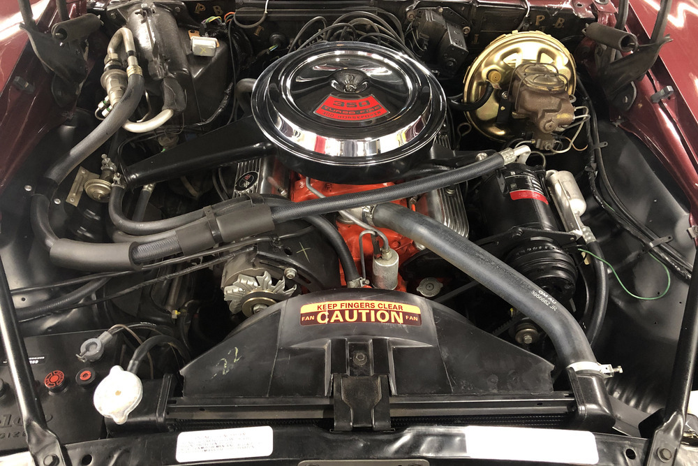 1969 CHEVROLET CAMARO SS - Engine - 232869