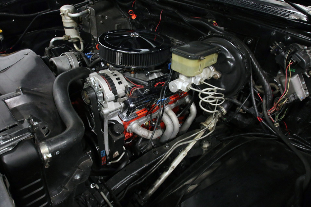1978 CHEVROLET CHEYENNE PICKUP - Engine - 233923