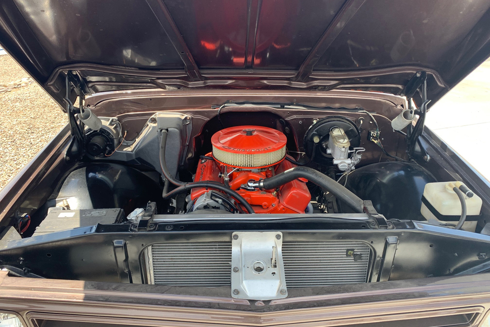 1967 CHEVROLET C10 CUSTOM PICKUP - Engine - 233935