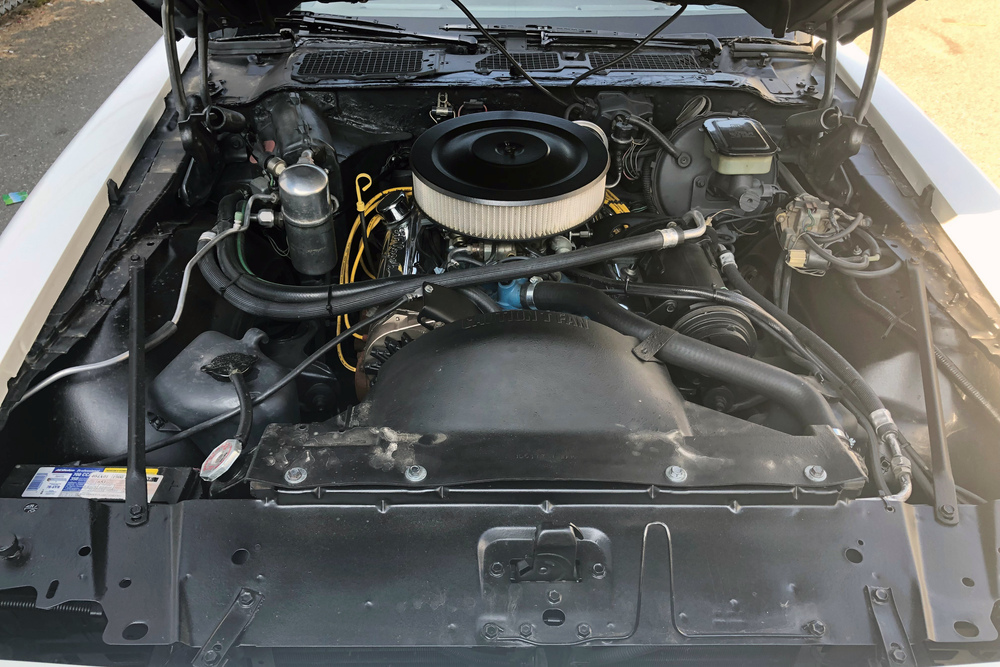1981 PONTIAC FIREBIRD FORMULA - Engine - 234038