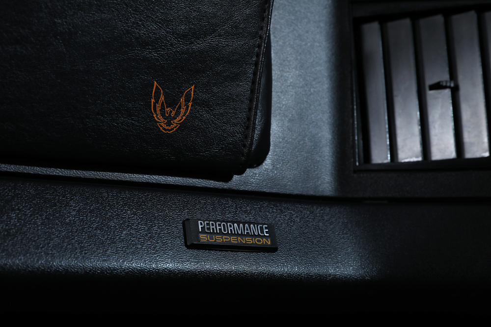 1991 PONTIAC FIREBIRD FORMULA 1LE  - Misc 3 - 234184