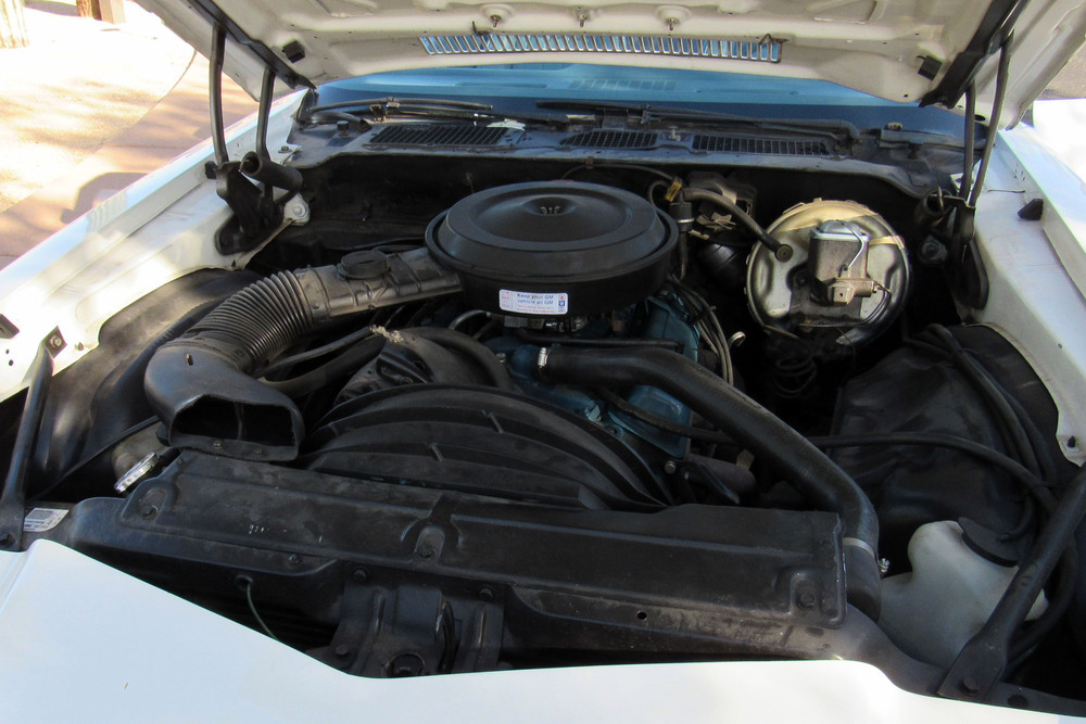 1979 CHEVROLET CAMARO Z/28  - Engine - 235399