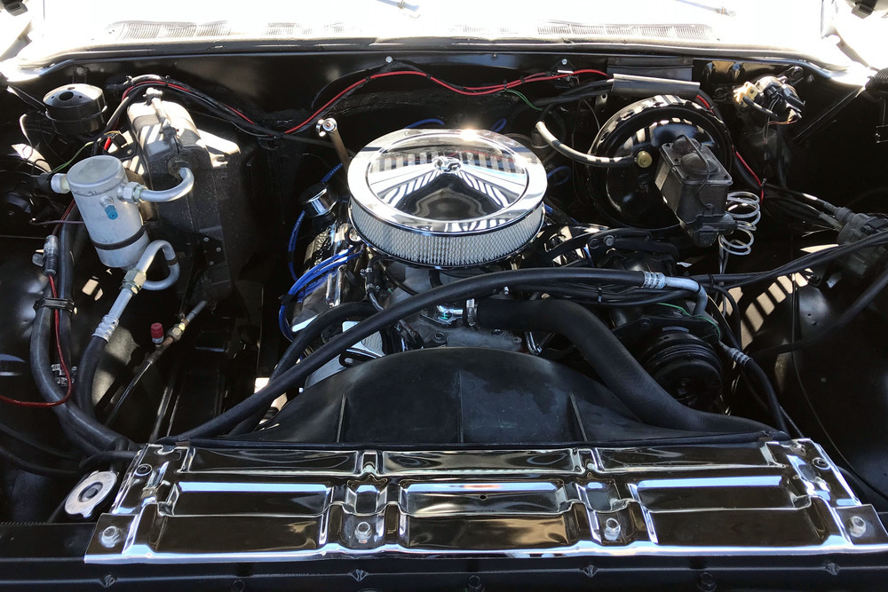 1979 CHEVROLET C10 CUSTOM PICKUP - Engine - 235457