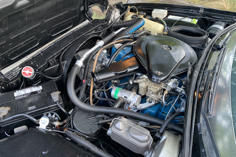 1976 AMC PACER X - Engine - 237044