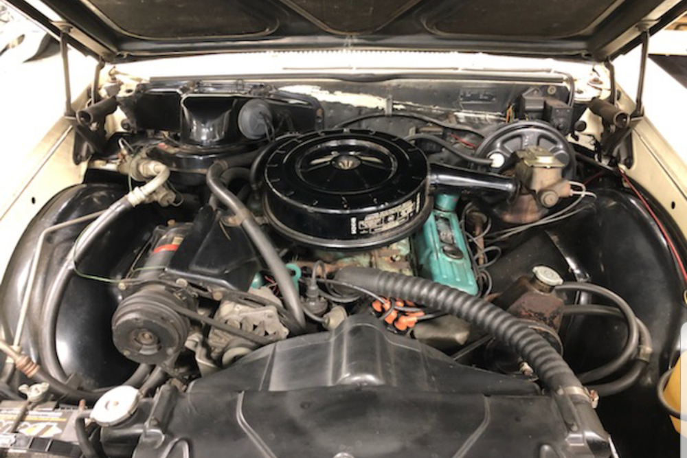 1967 BUICK SKYLARK - Engine - 237743