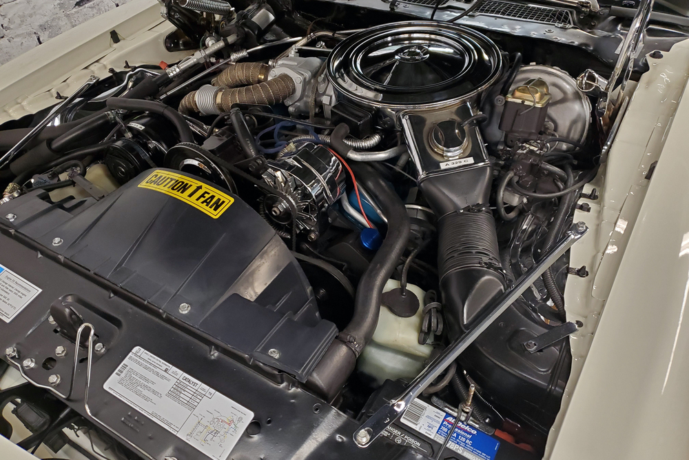 1980 PONTIAC FIREBIRD TRANS AM CUSTOM COUPE - Engine - 238049