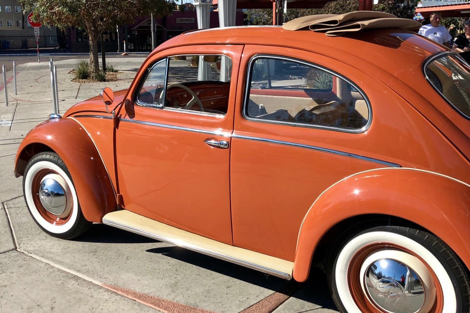 1959 VOLKSWAGEN BEETLE - Side Profile - 238087