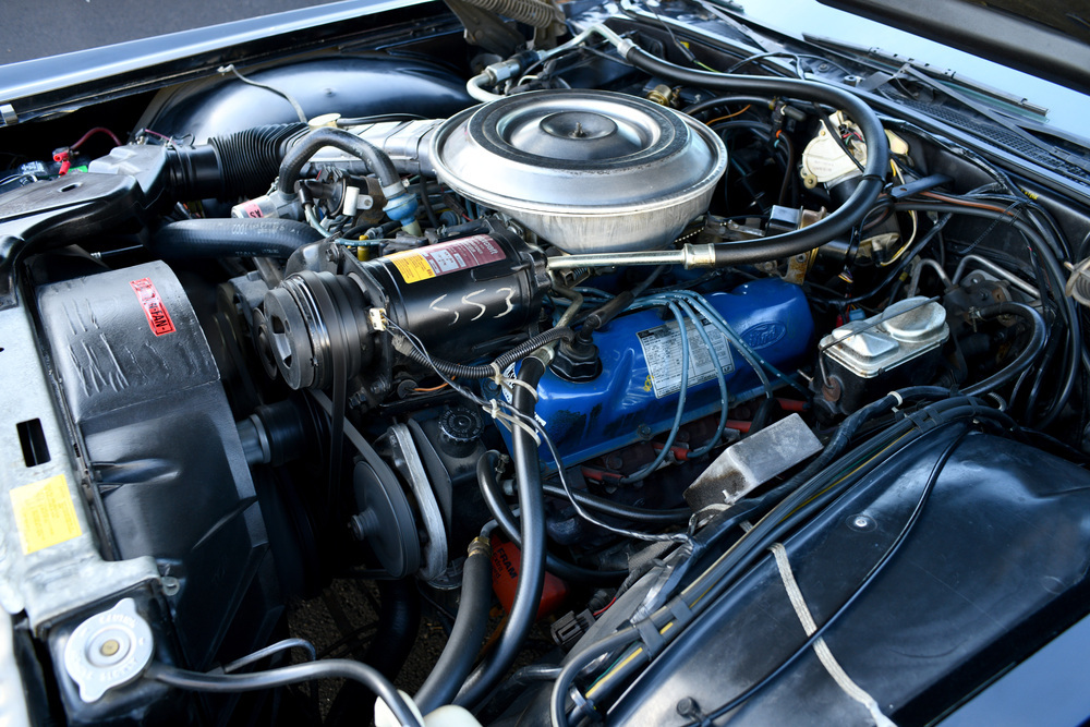 1979 LINCOLN CONTINENTAL MARK V Engine 238683
