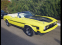 1973 FORD MUSTANG CONVERTIBLE -  - 24162