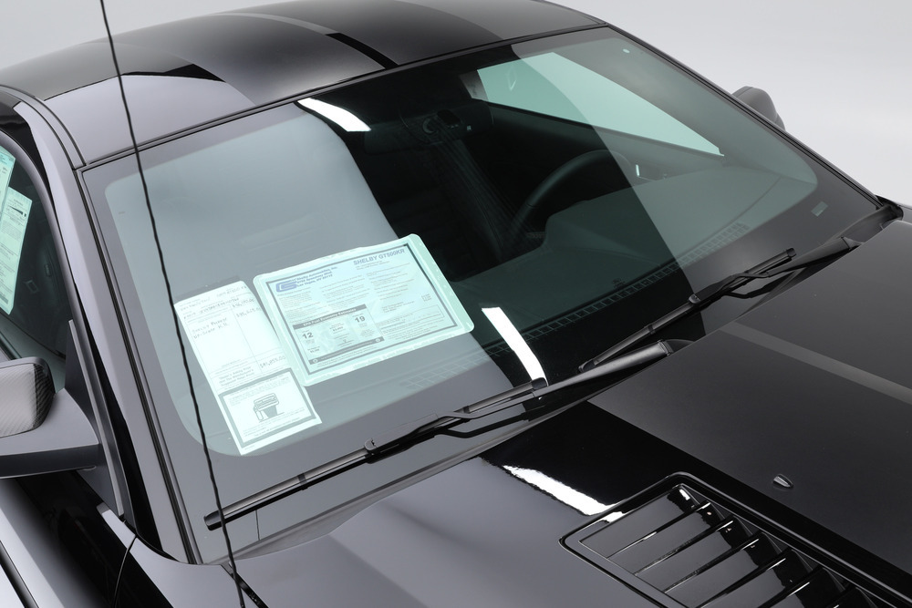 2009 FORD SHELBY GT500KR - Misc 32 - 242430