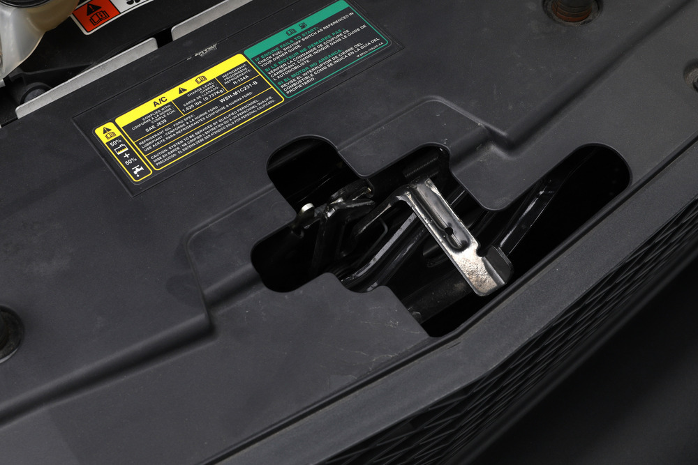 2009 FORD SHELBY GT500KR - Misc 16 - 242430