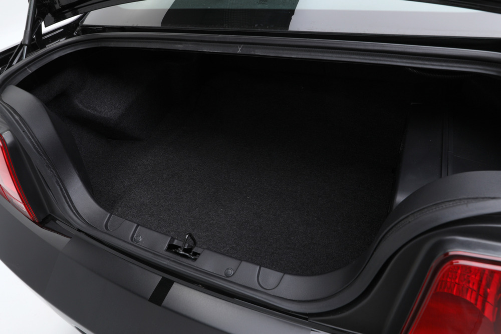 2009 FORD SHELBY GT500KR - Misc 61 - 242430