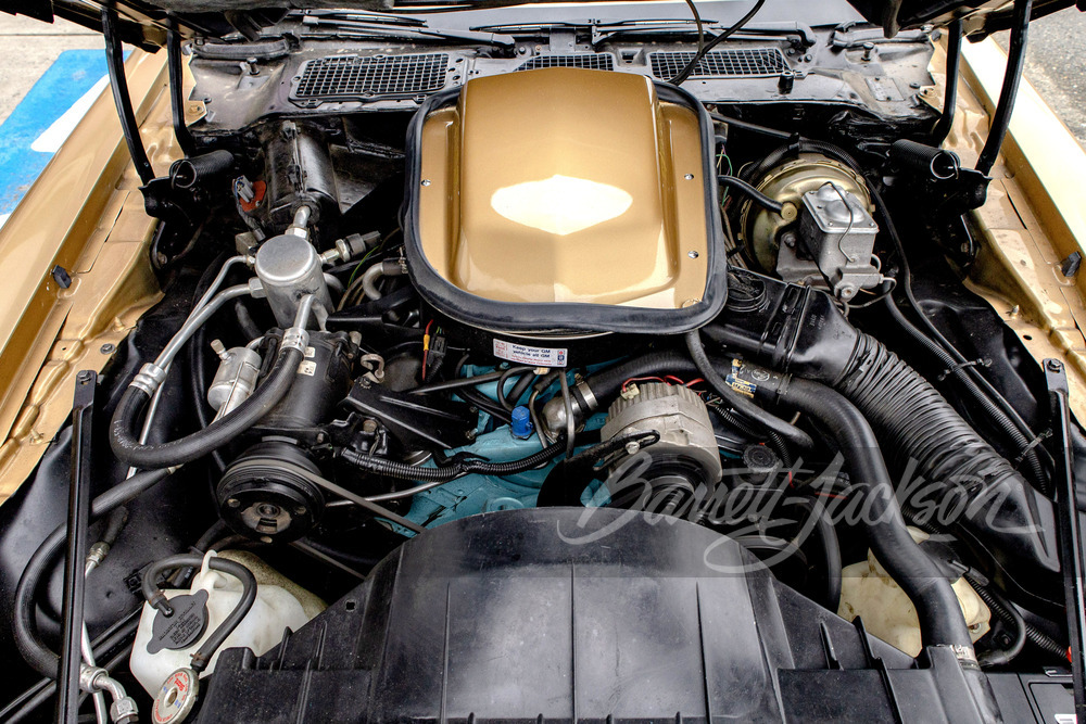 1979 PONTIAC FIREBIRD TRANS AM - Engine - 244365