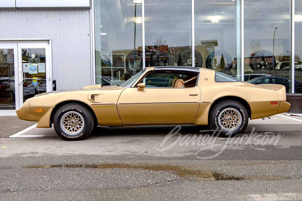 1979 PONTIAC FIREBIRD TRANS AM - Side Profile - 244365