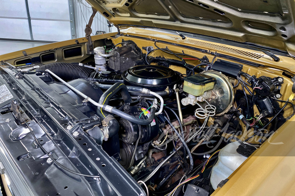 1984 CHEVROLET C10 CUSTOM DELUXE PICKUP - Engine - 246126