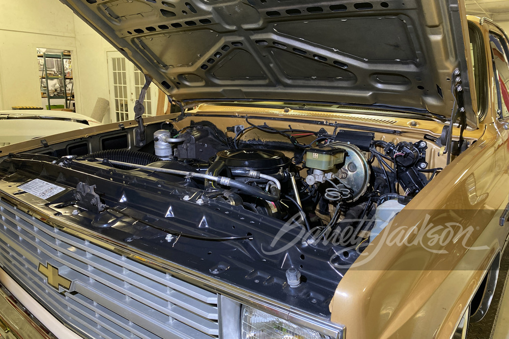 1984 CHEVROLET C10 CUSTOM DELUXE PICKUP - Misc 1 - 246126