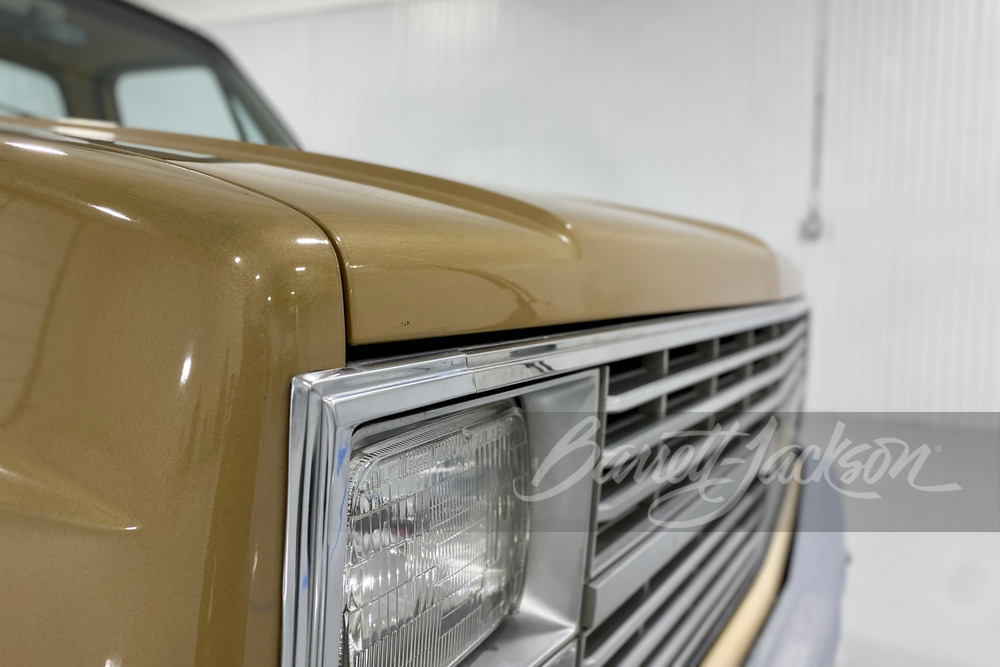 1984 CHEVROLET C10 CUSTOM DELUXE PICKUP - Misc 43 - 246126