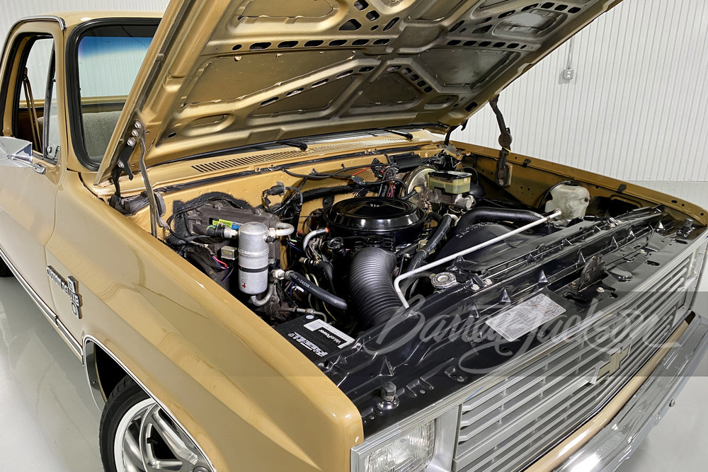 1984 CHEVROLET C10 CUSTOM DELUXE PICKUP - Misc 2 - 246126