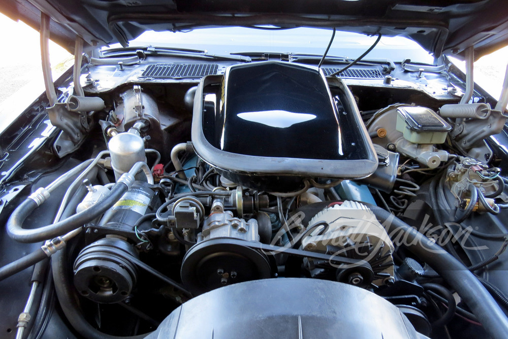 1981 PONTIAC FIREBIRD TRANS AM - Engine - 248080