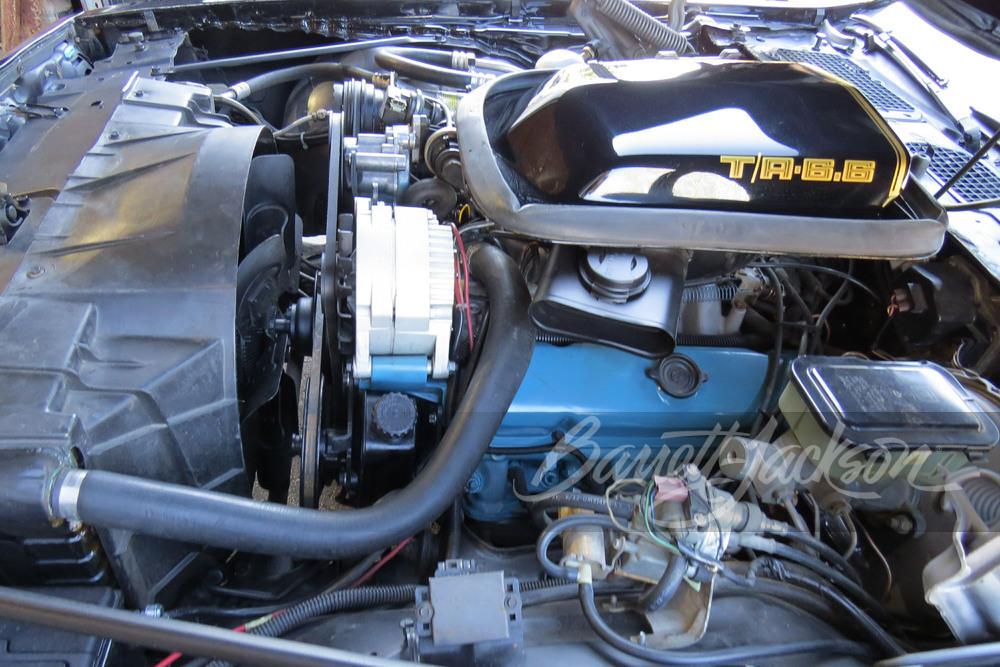 1981 PONTIAC FIREBIRD TRANS AM - Misc 1 - 248080