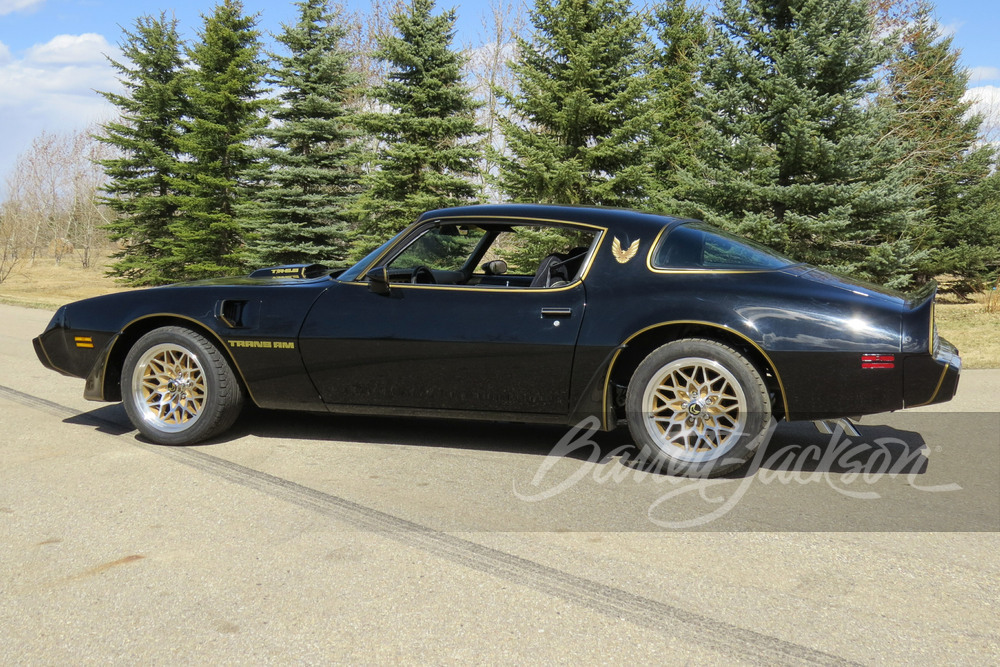 1981 PONTIAC FIREBIRD TRANS AM - Side Profile - 248080