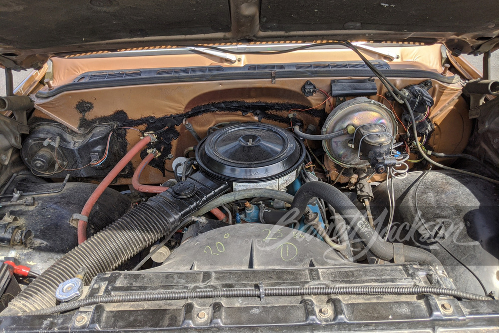 1980 CHEVROLET K20 PICKUP - Engine - 248274
