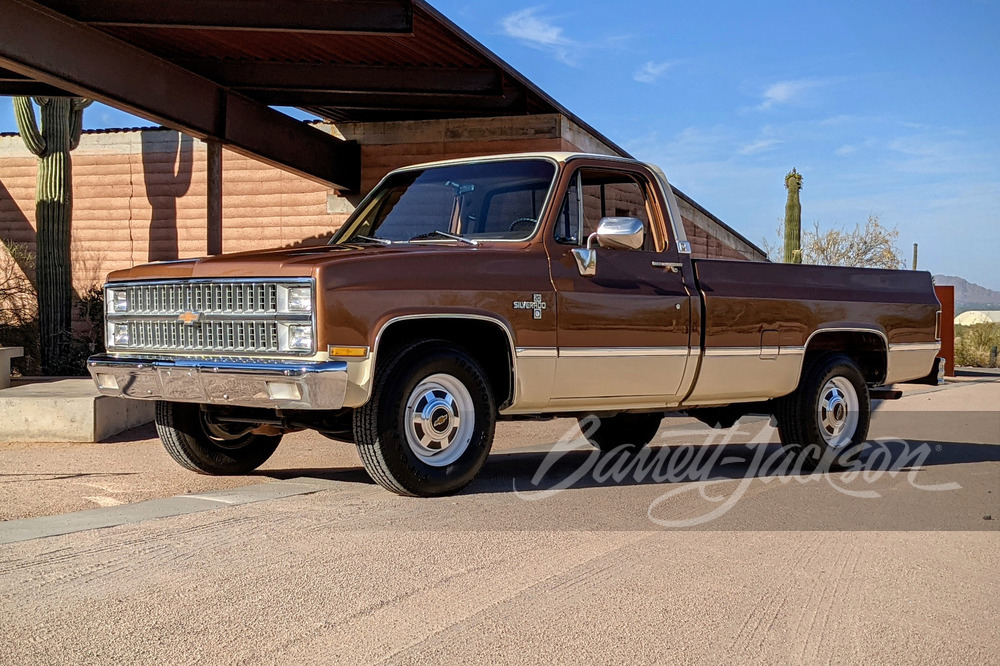 1981 CHEVROLET C20 PICKUP - Misc 12 - 249113