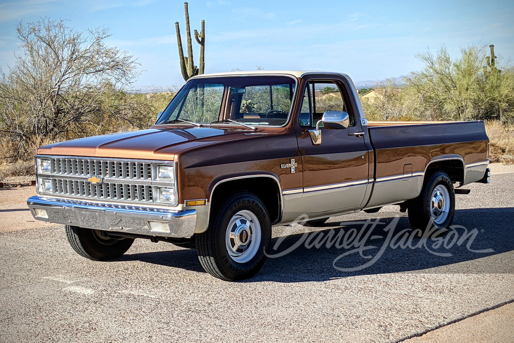 1981 CHEVROLET C20 PICKUP - Misc 11 - 249113