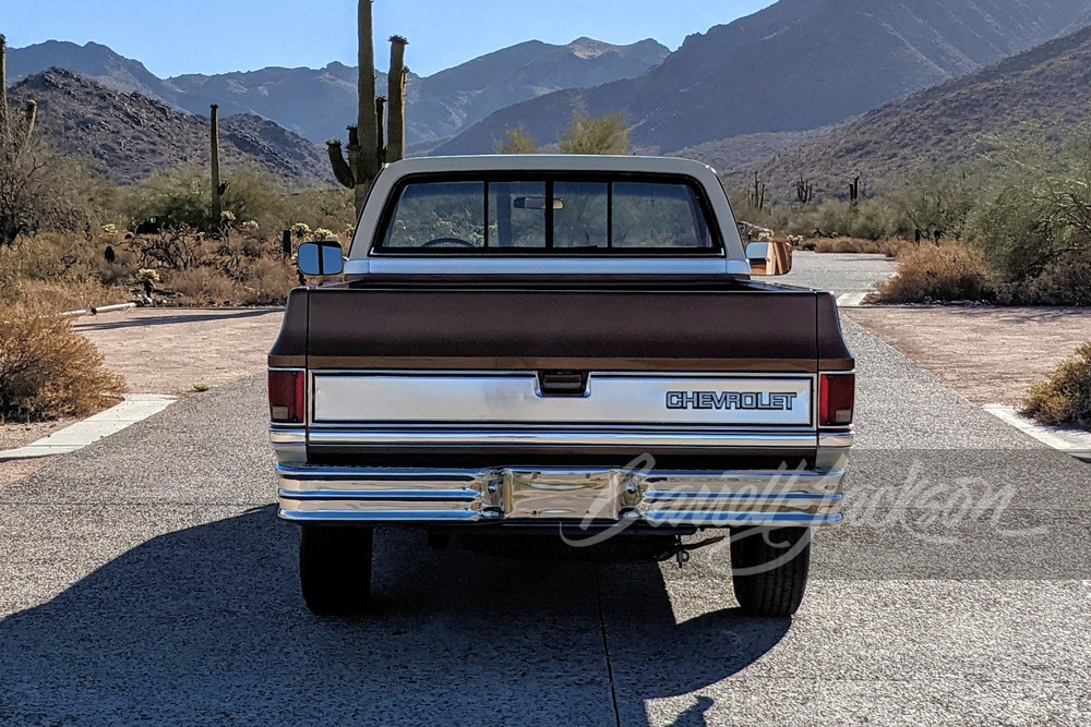 1981 CHEVROLET C20 PICKUP - Misc 8 - 249113
