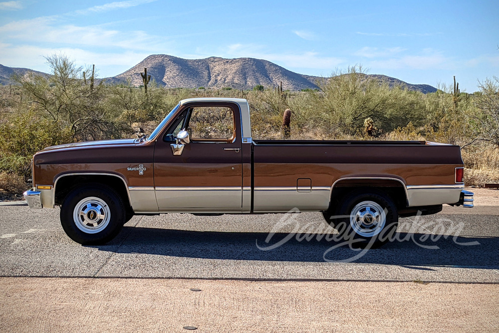 1981 CHEVROLET C20 PICKUP - Misc 9 - 249113