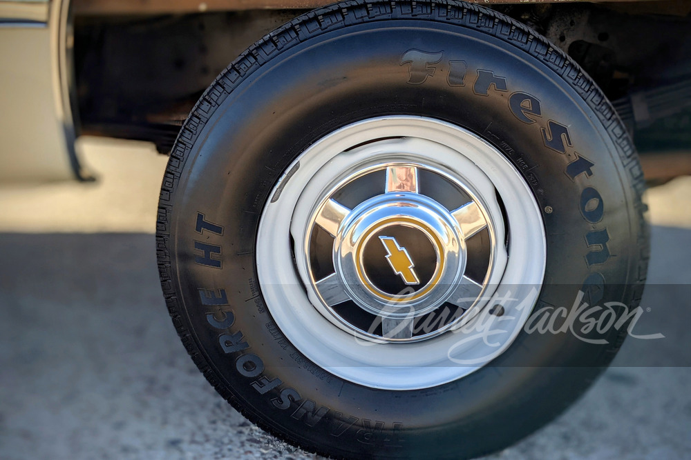 1981 CHEVROLET C20 PICKUP - Misc 17 - 249113