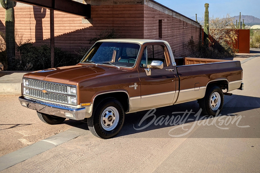 1981 CHEVROLET C20 PICKUP - Misc 13 - 249113