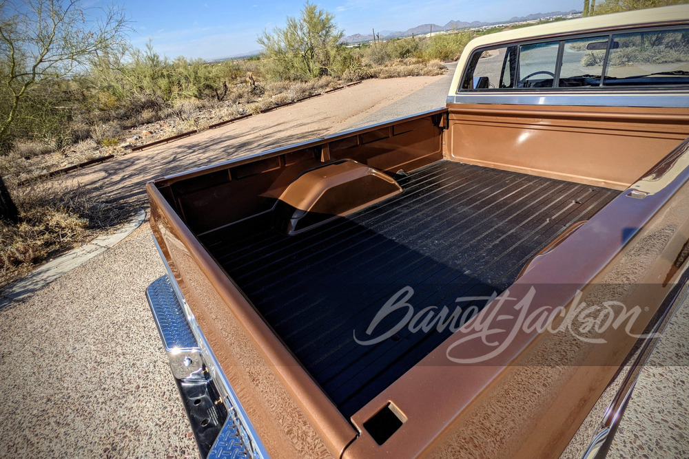 1981 CHEVROLET C20 PICKUP - Misc 21 - 249113