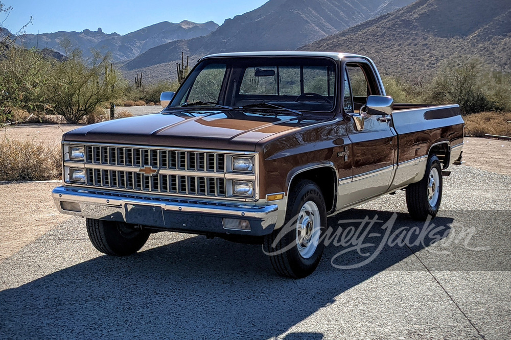 1981 CHEVROLET C20 PICKUP - Misc 14 - 249113
