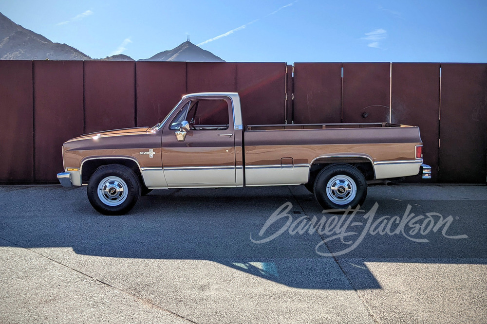 1981 CHEVROLET C20 PICKUP - Misc 10 - 249113