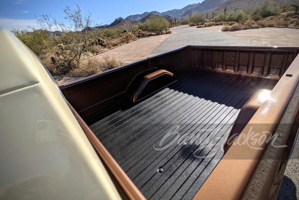 1981 CHEVROLET C20 PICKUP - Misc 20 - 249113