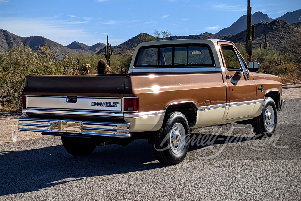 1981 CHEVROLET C20 PICKUP - Rear 3/4 - 249113