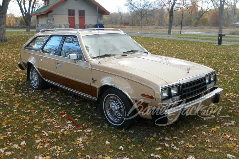 1981 AMC CONCORD STATION WAGON - Misc 4 - 251733