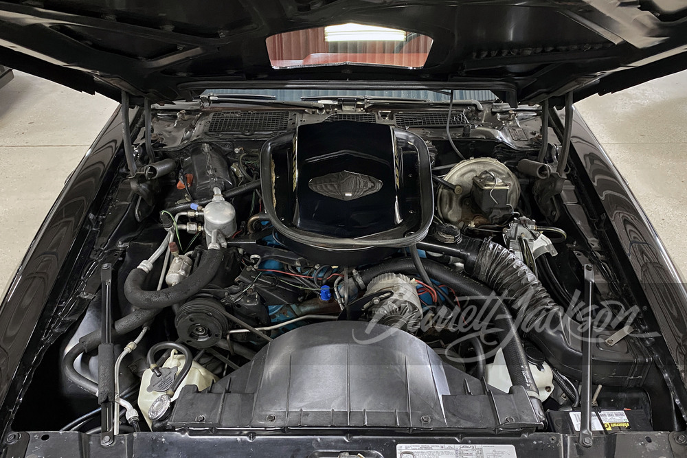1978 PONTIAC TRANS AM - Engine - 253069