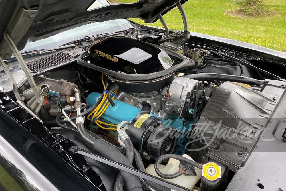 1981 PONTIAC FIREBIRD TRANS AM - Engine - 259111