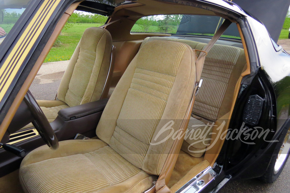 1981 PONTIAC FIREBIRD TRANS AM - Interior - 259111