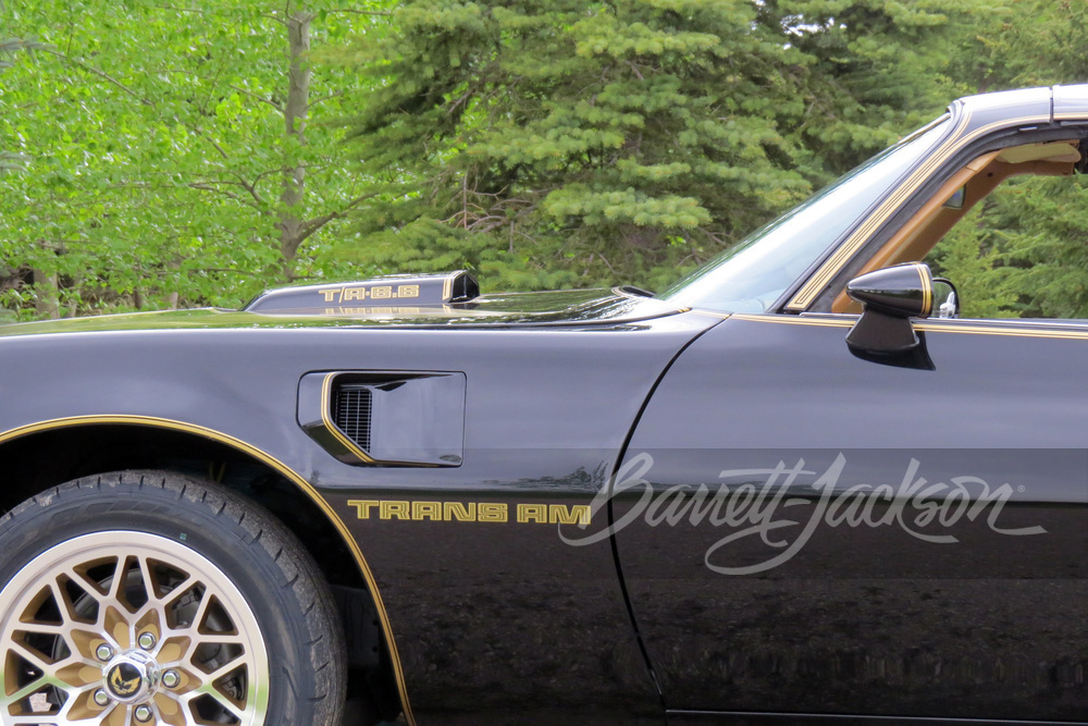 1981 PONTIAC FIREBIRD TRANS AM - Misc 2 - 259111