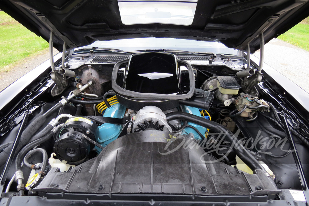 1981 PONTIAC FIREBIRD TRANS AM - Misc 4 - 259111