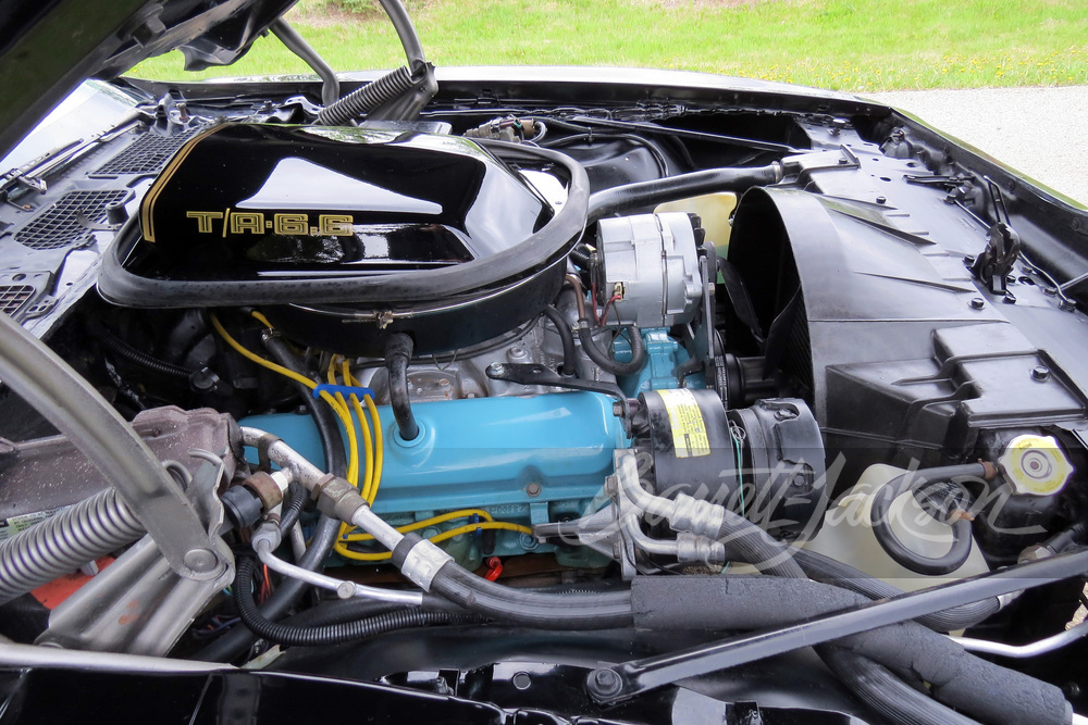 1981 PONTIAC FIREBIRD TRANS AM - Misc 5 - 259111