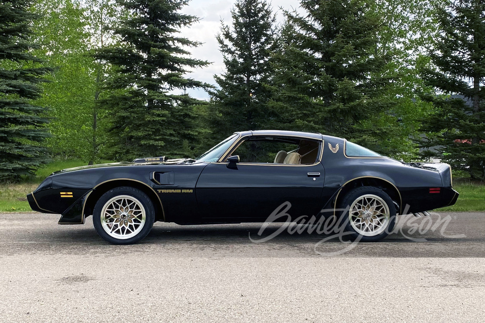 1981 PONTIAC FIREBIRD TRANS AM - Side Profile - 259111