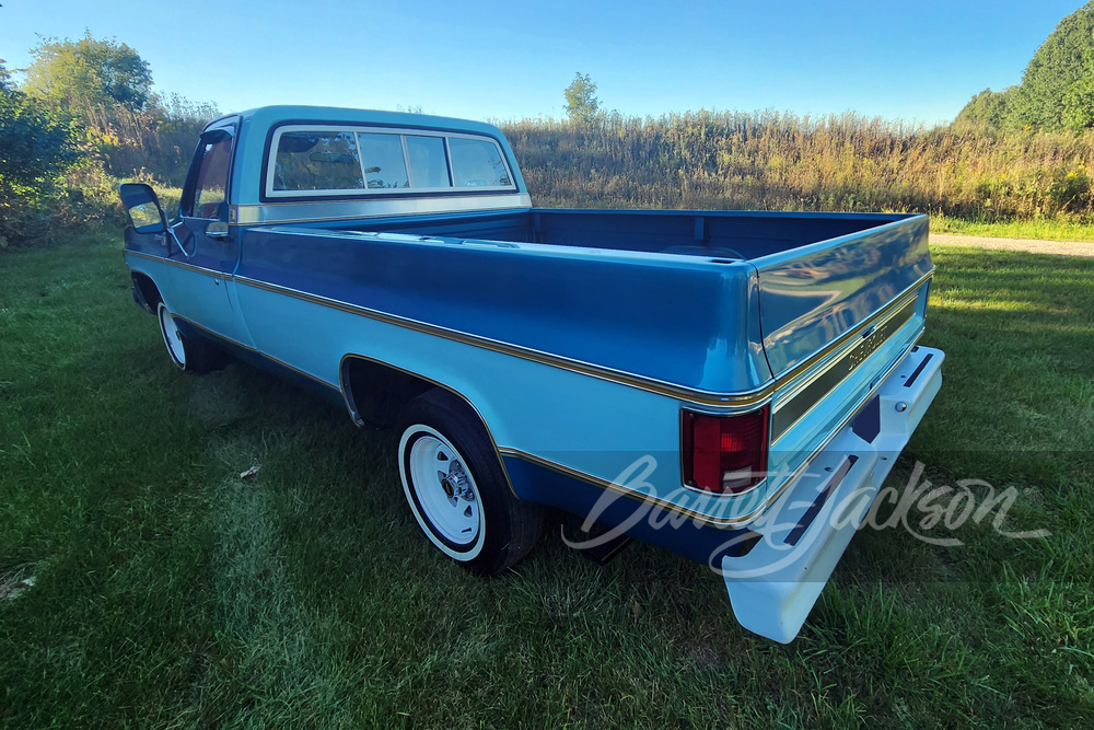 1977 CHEVROLET C10 PICKUP - Misc 2 - 260553